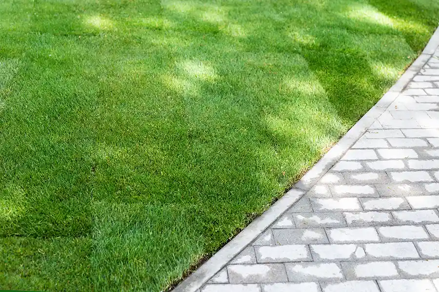 Landscaping